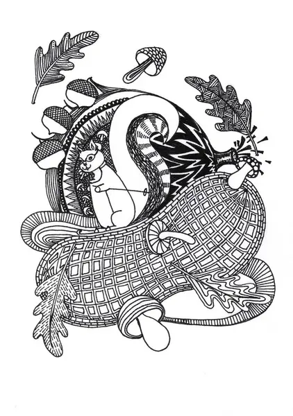 Resimde büyük bir fındık ya da meşe palamudunun üzerinde oturan bir sincap görülüyor..