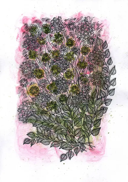 İllüstrasyon, suluboya bir arkaplan üzerine mürekkep çizimi şeklinde karışık ortamda yapılır. Eğri saplı, gür cilt bakımı ve sayısız yapraklı stilize bitkileri betimler.. 