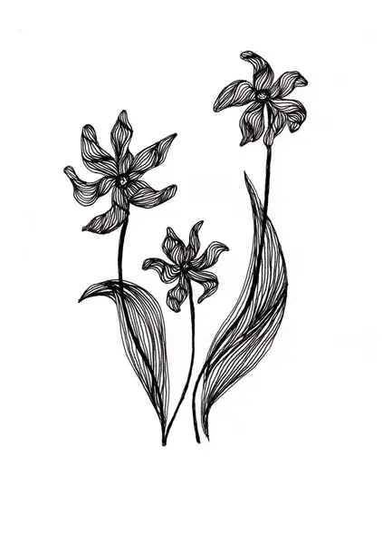 Bu siyah ve beyaz resimde, akışkan, kıvrımlı yaprakları ve anlamlı yaprakları olan üç stilize çiçek yer alıyor..