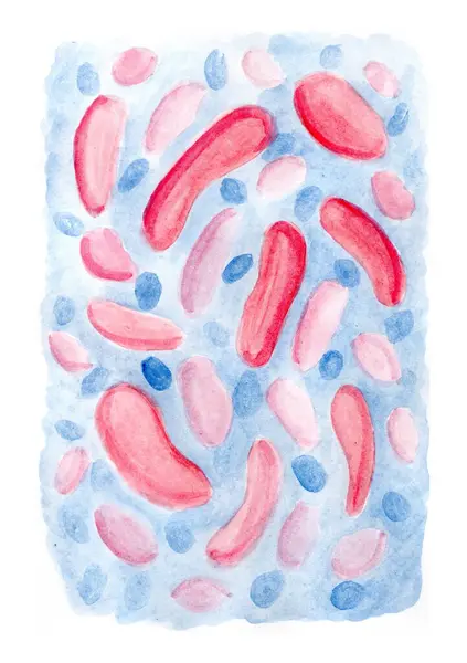 Soyut şekilli suluboya çizimleri mikroskop altındaki bakteri veya hücreleri anımsatıyor. Ana elementler, kırmızı, pembe ve mavi renklerde uzun ve oval şekillerdir..