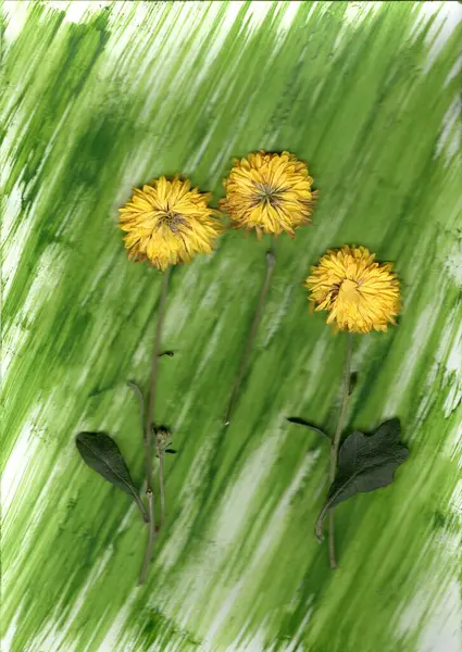 İfadelerde, yeşil yapraklı ve ince saplı karahindibalara benzeyen üç kurutulmuş sarı çiçek bulunuyor. Geniş fırça darbeleri tarzında yapılmış arka plana dikey olarak dizilmişlerdir..