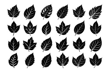 Yaprak Siluet Vektörü İllüstrasyonu