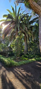 Parkın güzel manzarası