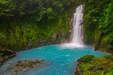 Yeşil ormanlı şelale, Tenorino Nationalpark, Kosta Rika 'daki Rio Celeste' de şelale.