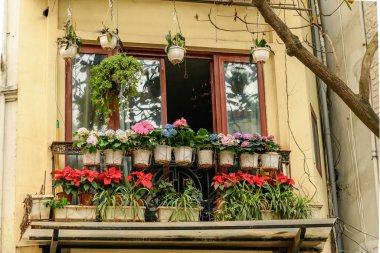 Hanoi, Vietnam 'ın Eski Mahallesi' nde çiçek ve bitkilerle süslenmiş balkon manzarası