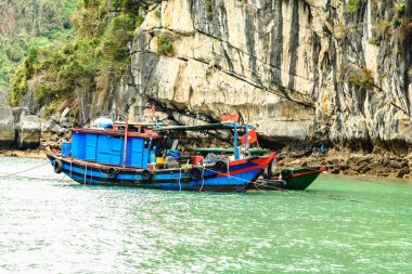 Halong Körfezi ve Lan Ha Körfezi 'nde balıkçı tekneleri.