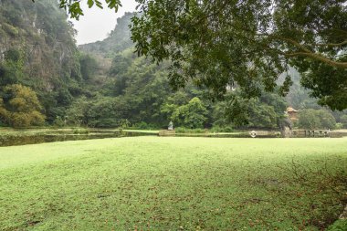 Vietnam 'daki Halong Körfezi' nde Ninh Binh yakınlarındaki Bich Dong Pagoda 'nın farklı manzaraları var.