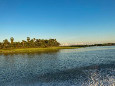 Sakin bir nehir manzarası, berrak mavi gökyüzünü yansıtan sakin suları, nehir kıyısı boyunca palmiye ağaçları olan yemyeşil bitkileri, günbatımında sakin bir tropikal ya da tropikal manzarayı gösterir..