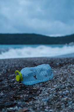 Çöpe atılmış plastik bir şişe ve yiyecek atıkları, kıyı ekosistemlerindeki kirlilik ve çevresel hasar sorununu vurgulayan çakıllı bir plajı kirletiyor.. 