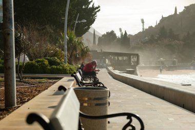 Manzaralı bir sahil yürüyüşü banklar ve yemyeşil ağaçlarla kaplıydı. Huzurlu sahil atmosferinin tadını çıkarıyorlardı. Yumuşak güneş ışığında.. 