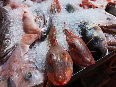 A variety of fresh fish displayed on crushed ice at a seafood market, highlighting different species, colors, and textures for sale.  clipart