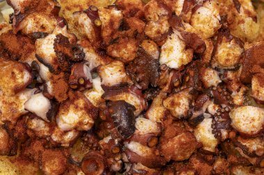 OKTOPUS GALİKYA YAZLI Stili