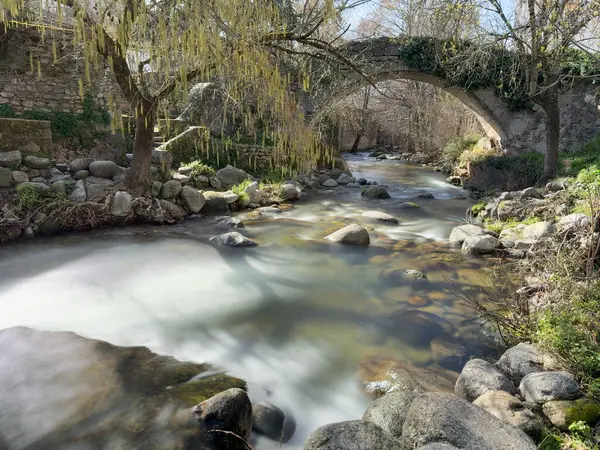 Kayalar, ağaçlar ve yemyeşil bitki örtüsüyle çevrili antik bir taş köprünün altından akan bir nehrin manzarası huzurlu bir doğal ortam yaratıyor.