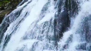 Dağ ormanlarındaki yosunlu kayalıklardan şelalenin şelalesi düşüyor.