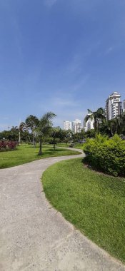 Tomar 'daki Tapınak Manastırına giden yol