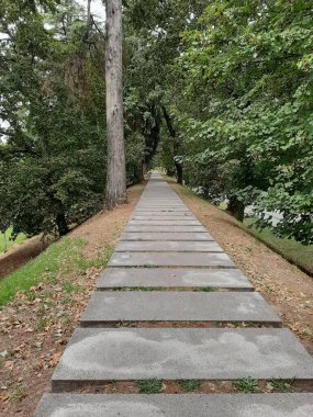 Uzağa uzanan uzun düz bir taş yol, sakin, doğal orman ortamında yemyeşil ağaçlarla çevrili, sükunet ve sonsuz keşifler önerir..