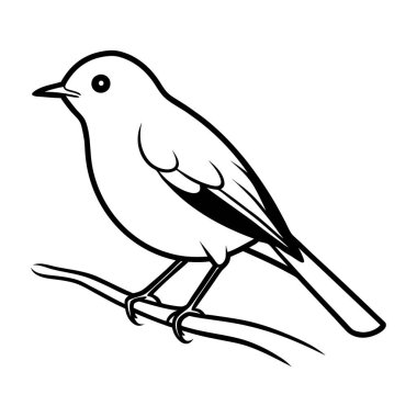 Beyaz arka planda izole edilmiş şirin bir kuş. Taslak biçiminde vektör illüstrasyonu.