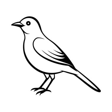 Beyaz arka planda izole edilmiş şirin bir kuş. Taslak biçiminde vektör illüstrasyonu.