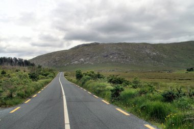 Kırsal İrlanda 'da köy yolu