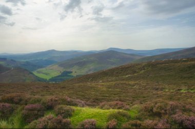 İrlanda 'daki dağlarla kırsal bir manzara