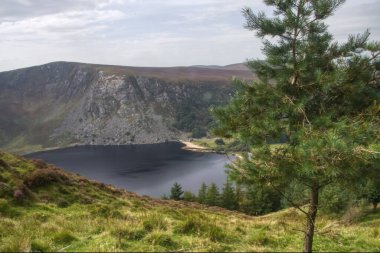 Sallys Gap 'teki Guinness Gölü Wicklow İrlanda