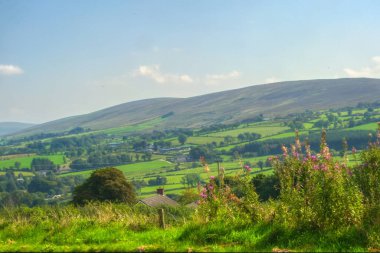İrlanda 'daki dağlarla kırsal bir manzara