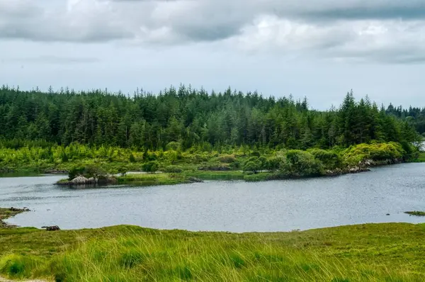 Bulutlu gökyüzünün altında yeşilliklerle çevrili güzel bir göl manzarası
