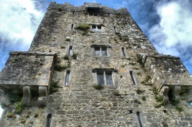 İrlanda 'daki bir kalenin ortaçağ kulesinin manzarası.