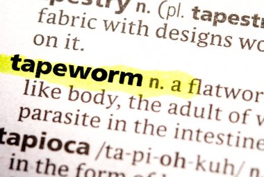 Solucan kelimesinin bir sözlükteki fotoğrafını kapat 