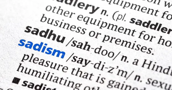 Bir sözlükteki sadisn sözcüğünün fotoğrafını kapat