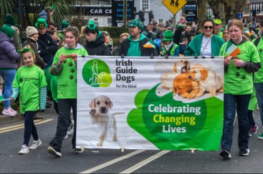 Aziz Patrick Günü 'nde İrlanda rehber köpekleri Dublin İrlanda' sında geçit töreni