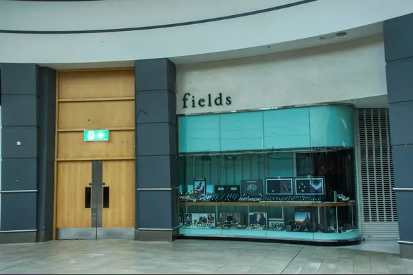 Dublin İrlanda Marşı, 16 Mart 2025. Bir kuyumcu dükkanı.