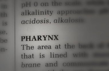 Gırtlak sözcüğünün fotoğrafını kapat