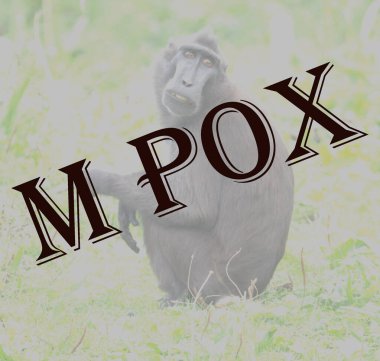 Arka planda maymun olan mpox metni