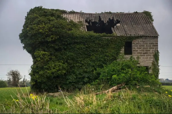 Şehirde terk edilmiş eski bir ev.