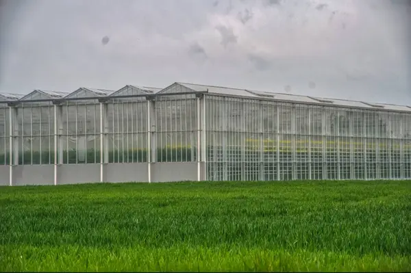 Bahçedeki yeşil sera