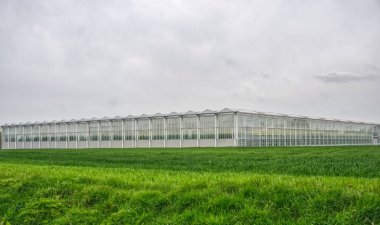 yeşil sera, sera, yeşil tarla