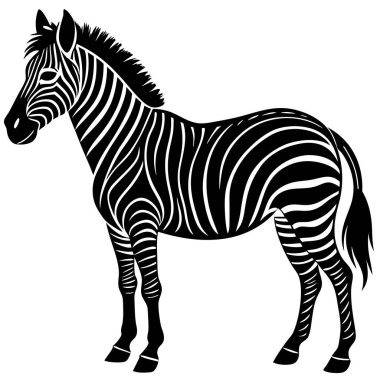 Zarif Siyah ve Beyaz Zebra Silueti