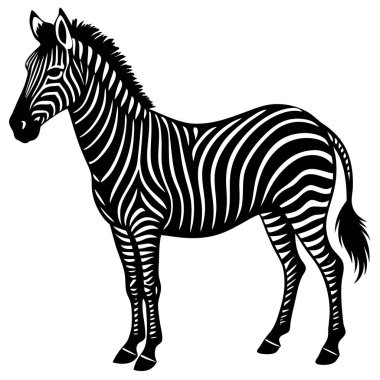 Zarif Siyah ve Beyaz Zebra Silueti