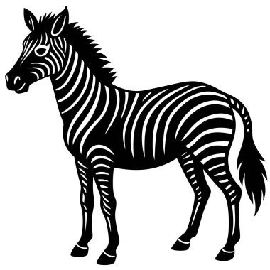 Zarif Siyah ve Beyaz Zebra Silueti
