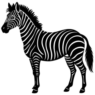 Zarif Siyah ve Beyaz Zebra Silueti