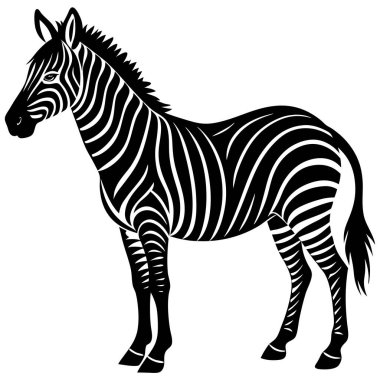 Zarif Siyah ve Beyaz Zebra Silueti