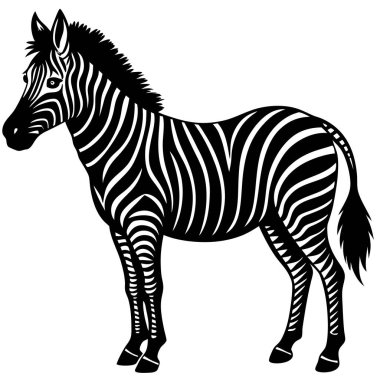 Zarif Siyah ve Beyaz Zebra Silueti