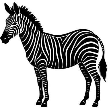 Zarif Siyah ve Beyaz Zebra Silueti