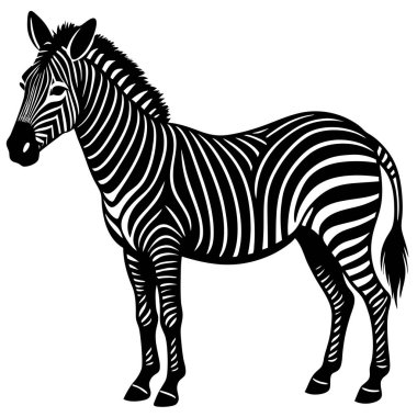 Zarif Siyah ve Beyaz Zebra Silueti