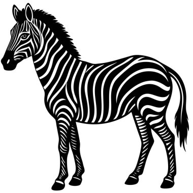 Zarif Siyah ve Beyaz Zebra Silueti