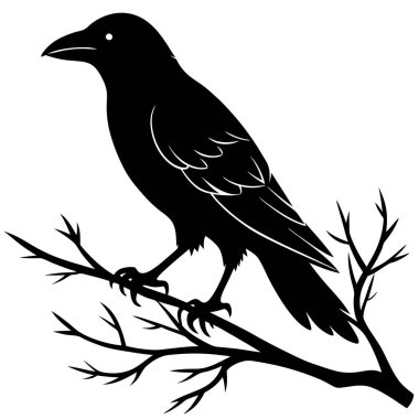 Silhouette of a Raven Perched on a Branch clipart