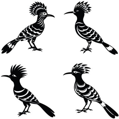 Four stylized, black and white silhouettes of woodpecker birds. clipart