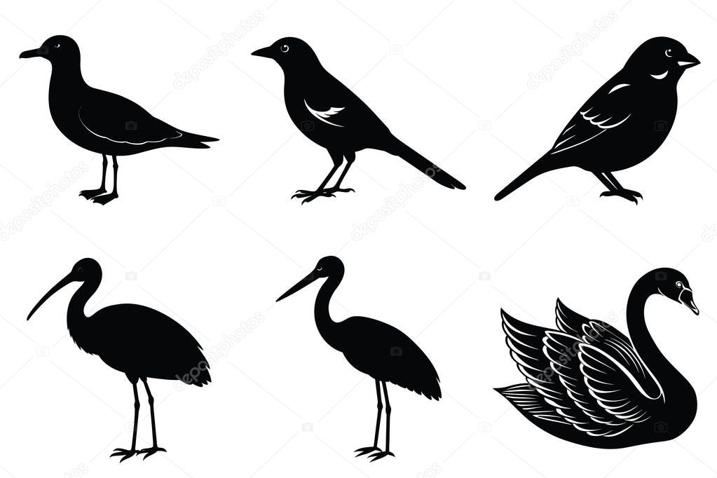This image features stylized, black silhouette illustrations of different bird species, including a gull, a magpie, a sparrow, an ibis, a heron, and a swan.