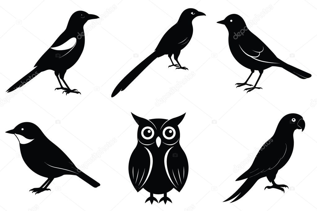 A collection of six silhouette bird illustrations owl silhouette, magpie silhouette, parrot silhouette, nightingale, motmot, nuthatch.